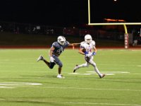 DSC 3006